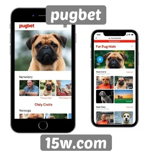 Estudo de usabilidade do site Pugbet em dispositivos móveis